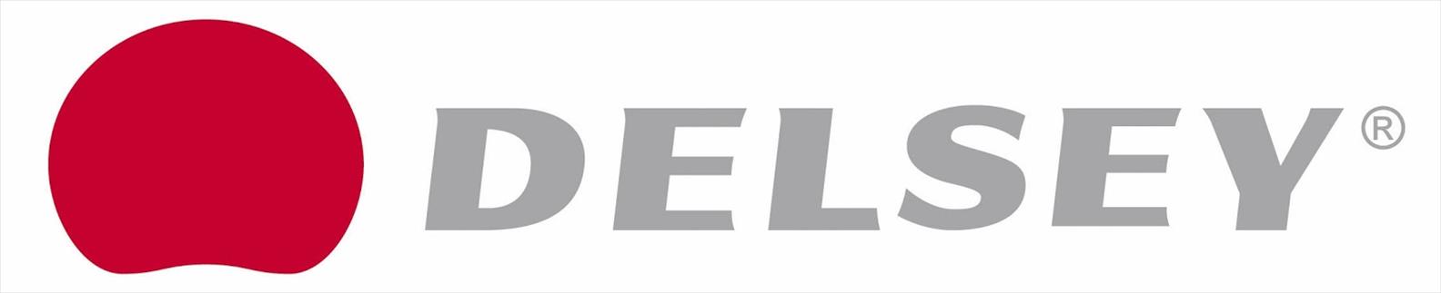 delsey luggage logo